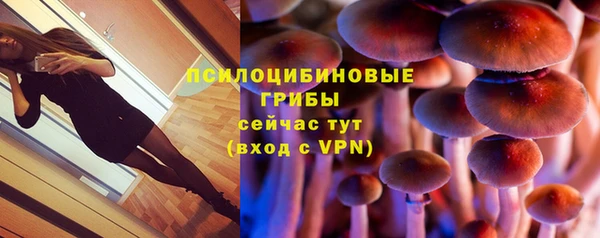 хмурый Алексин