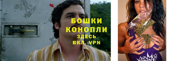 бошки Алзамай