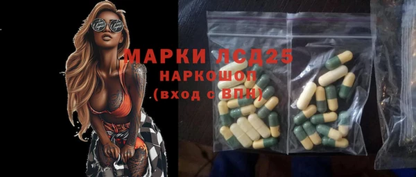 хмурый Алексин