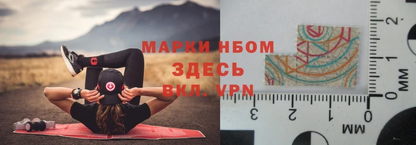 хмурый Алексин