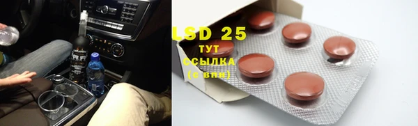 спайс Ладушкин