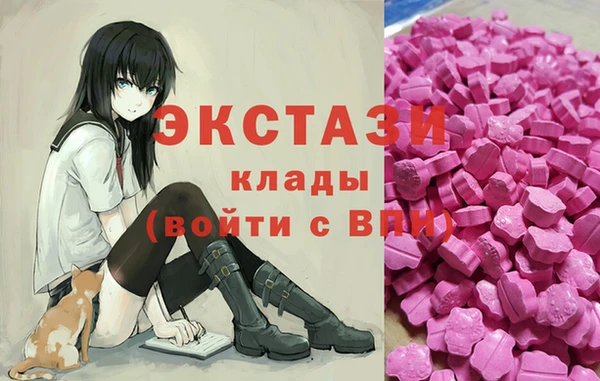 хмурый Алексин
