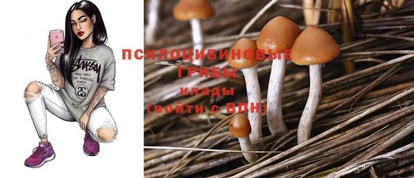 бошки Алзамай