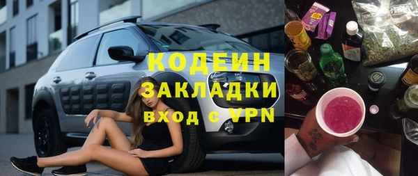 хмурый Алексин