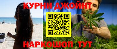 крисы Ливны