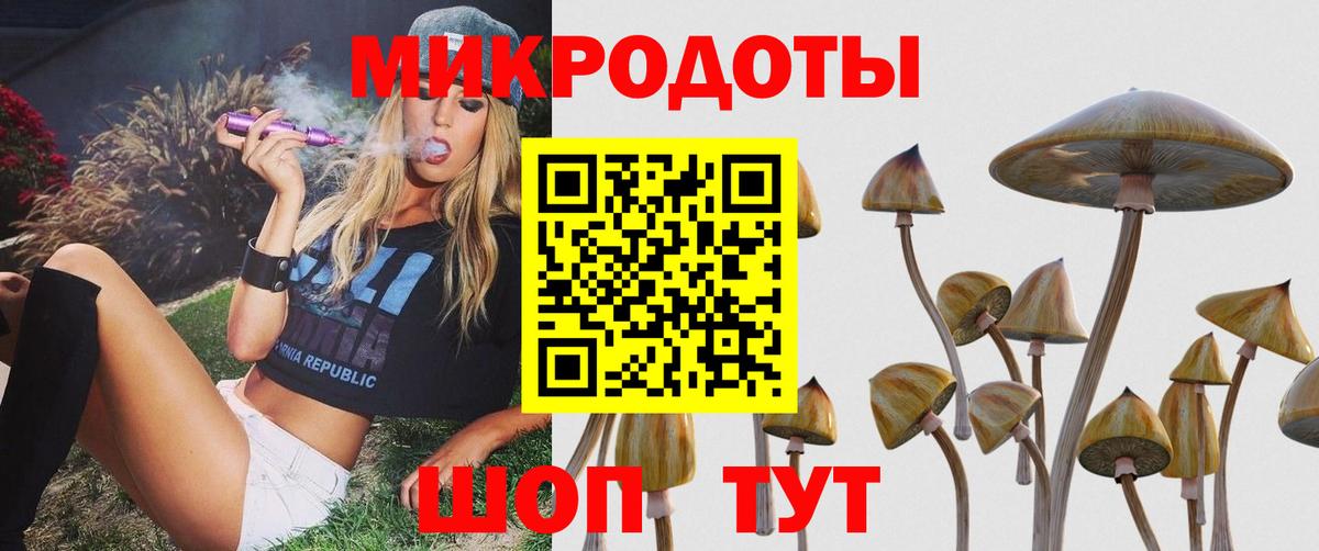 купить наркоту  Галлюциногенные грибы Magic Shrooms  Когалым  Вход с VPN  Псилоцибиновые грибы мицелий 